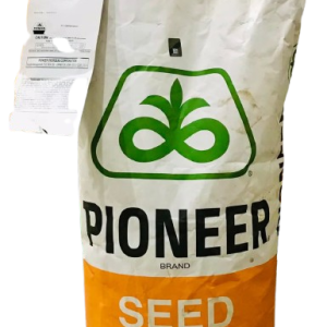 Seed 02